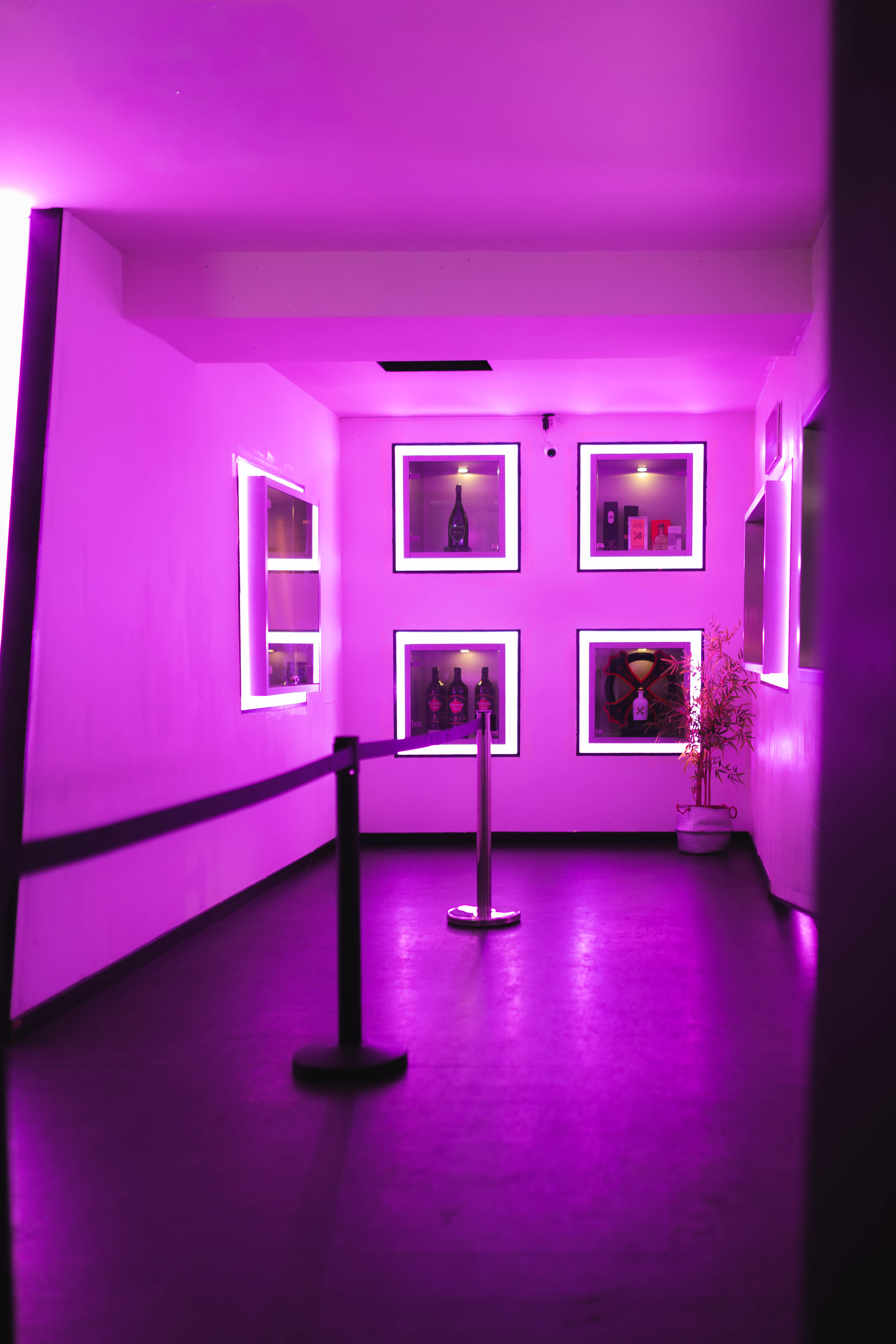 Flamingo Club Lugano - atmosfera e serate